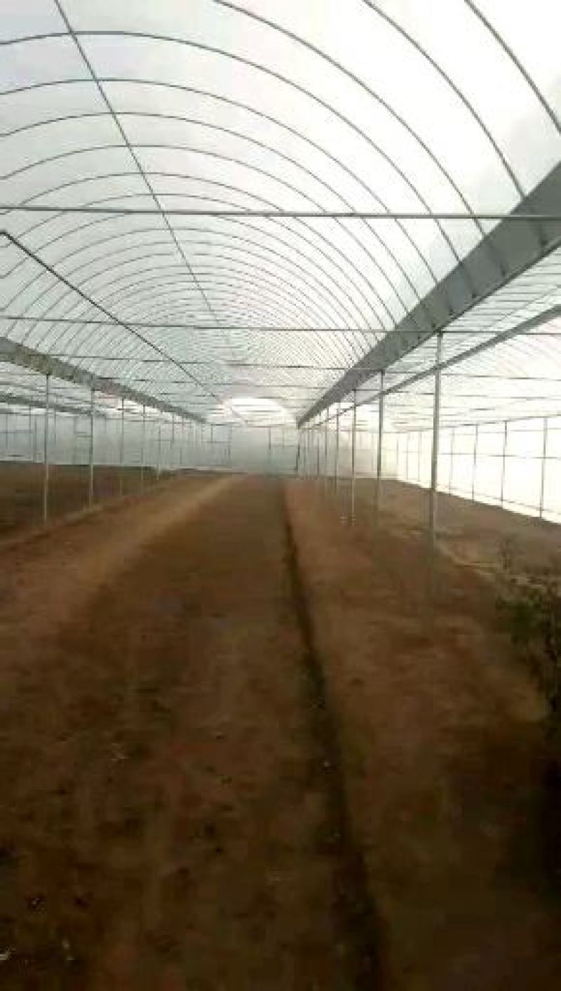 厂家定制，连体大棚规格齐全，方便实用，抗风抗雪包安装