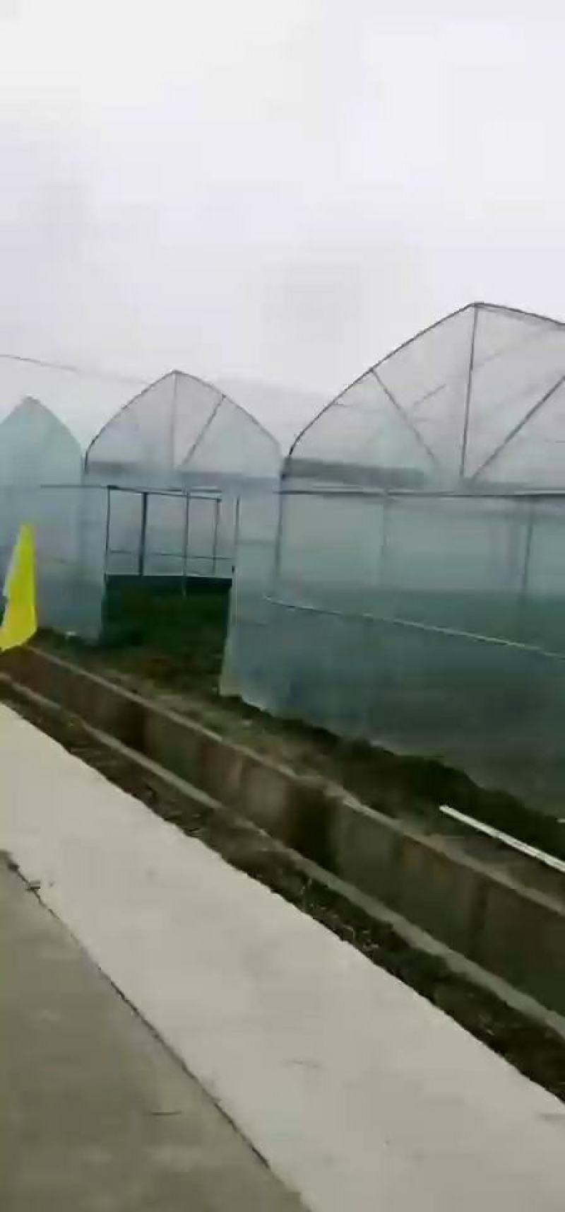 厂家定制，连体大棚规格齐全，方便实用，抗风抗雪包安装