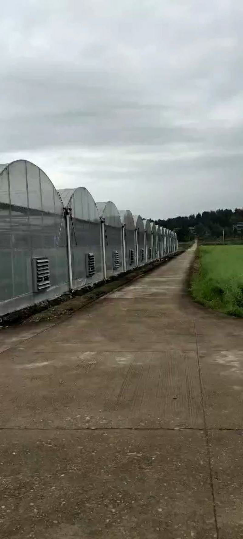 厂家定制，连体大棚规格齐全，方便实用，抗风抗雪包安装