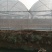 厂家定制，连体大棚规格齐全，方便实用，抗风抗雪包安装