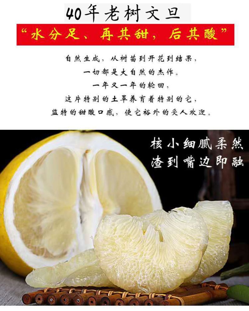 台州玉环文旦，文旦柚子，40年老树精品果