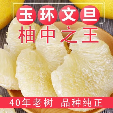 台州玉环文旦，文旦柚子，40年老树精品果