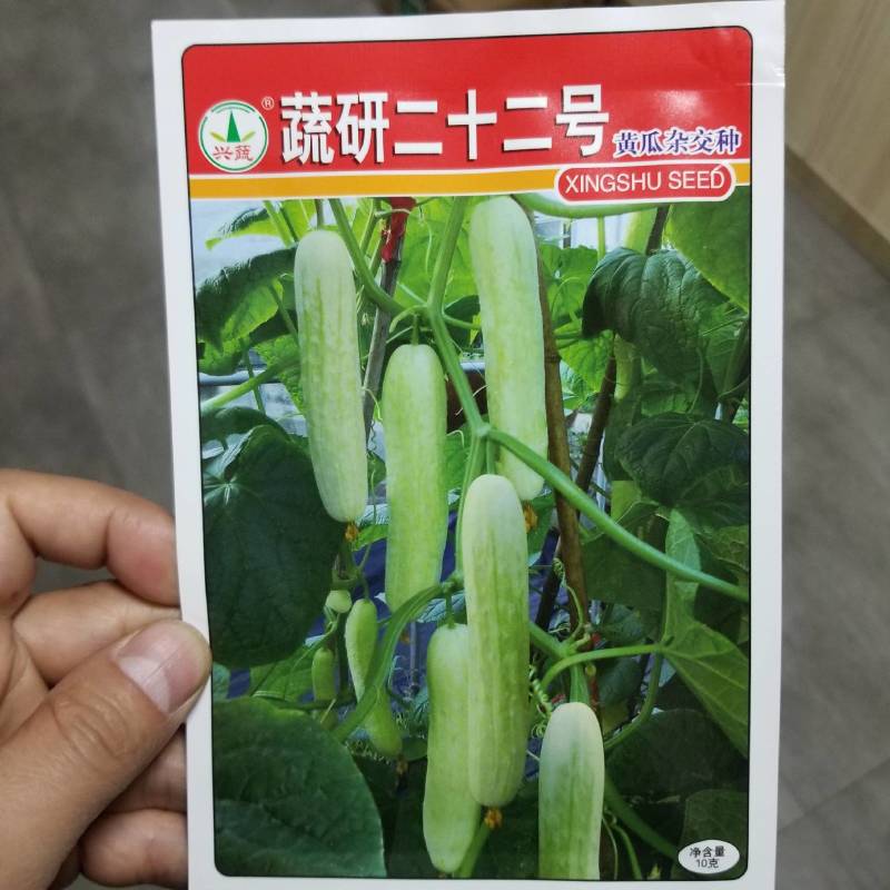 一代交配，湖南兴蔬种业，成都好特园艺出品，黄瓜种子