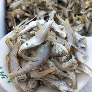 渤海湾国宝鱼小马囗鱼微咸当下酒菜配馒头窝窝一手货源不包邮