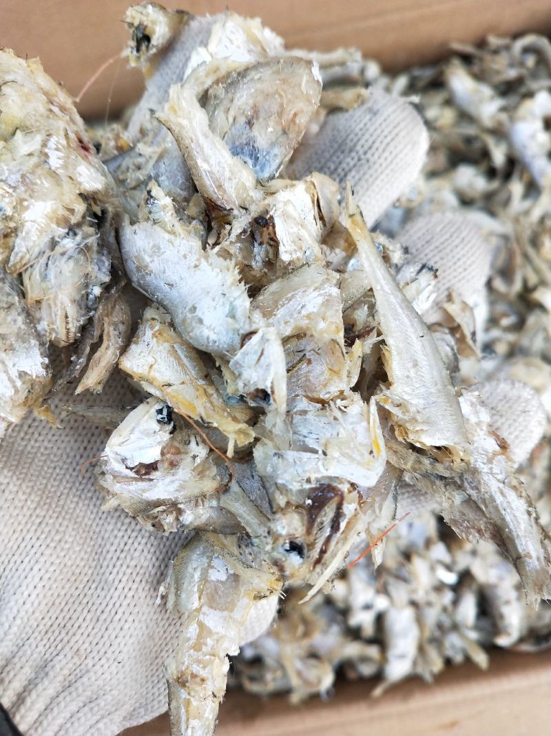 渤海湾国宝鱼小马囗鱼微咸当下酒菜配馒头窝窝一手货源不包邮