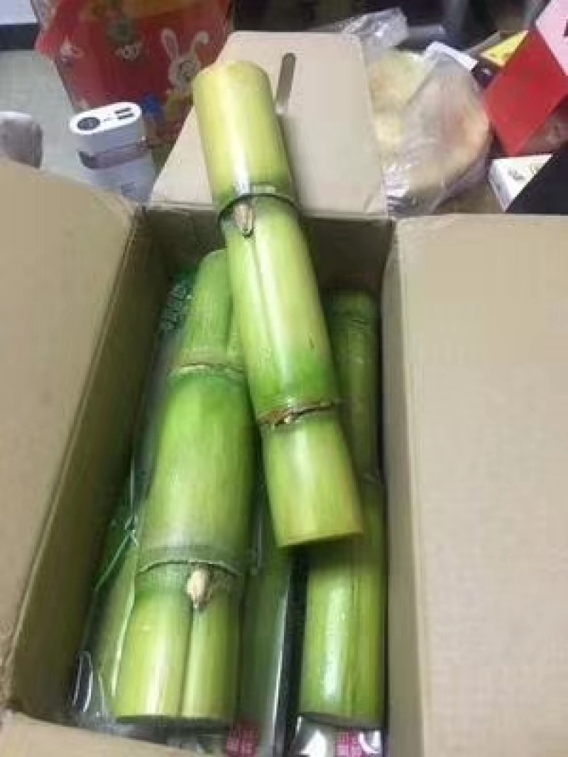 陶山果蔗，竹蔗，青皮白玉甘蔗