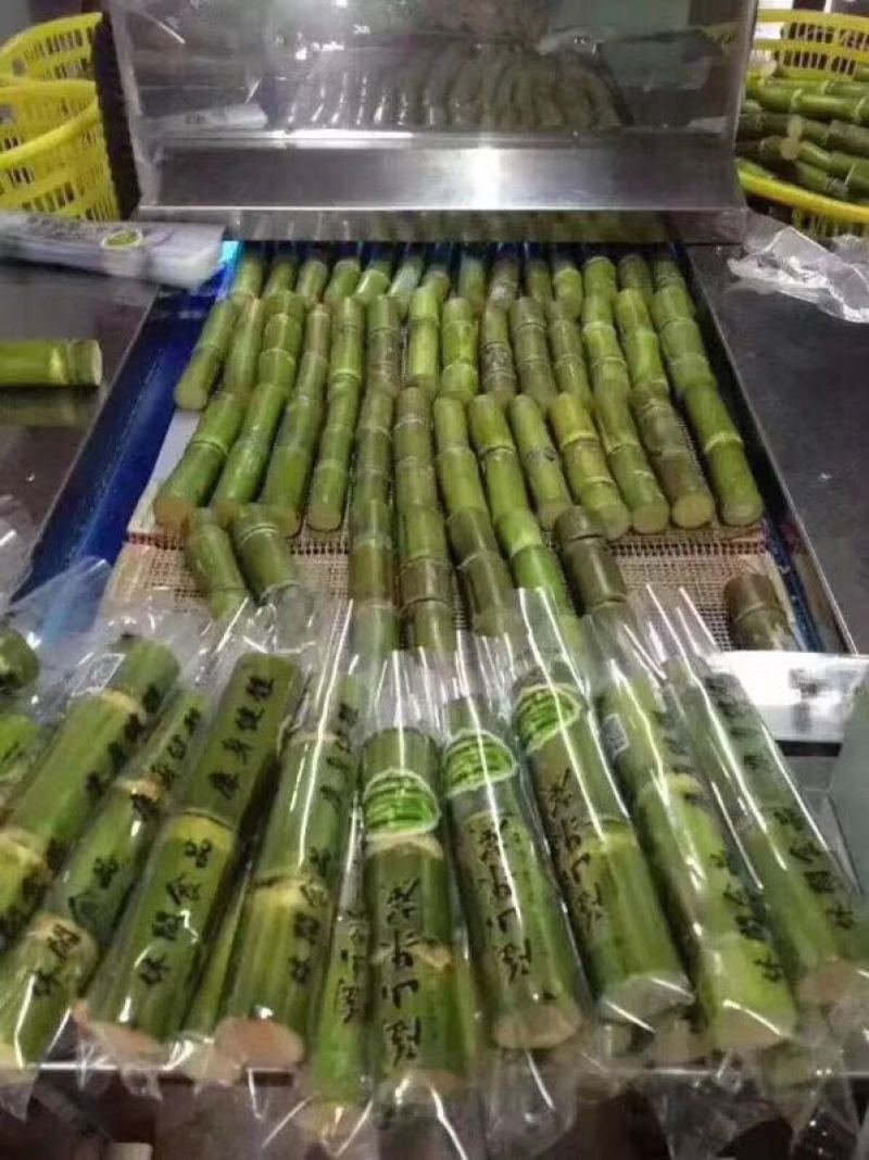 陶山果蔗，竹蔗，青皮白玉甘蔗