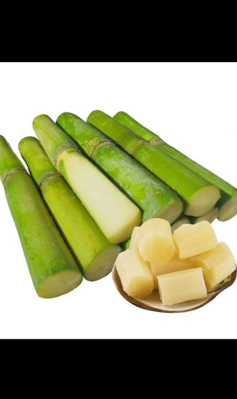 陶山果蔗，竹蔗，青皮白玉甘蔗