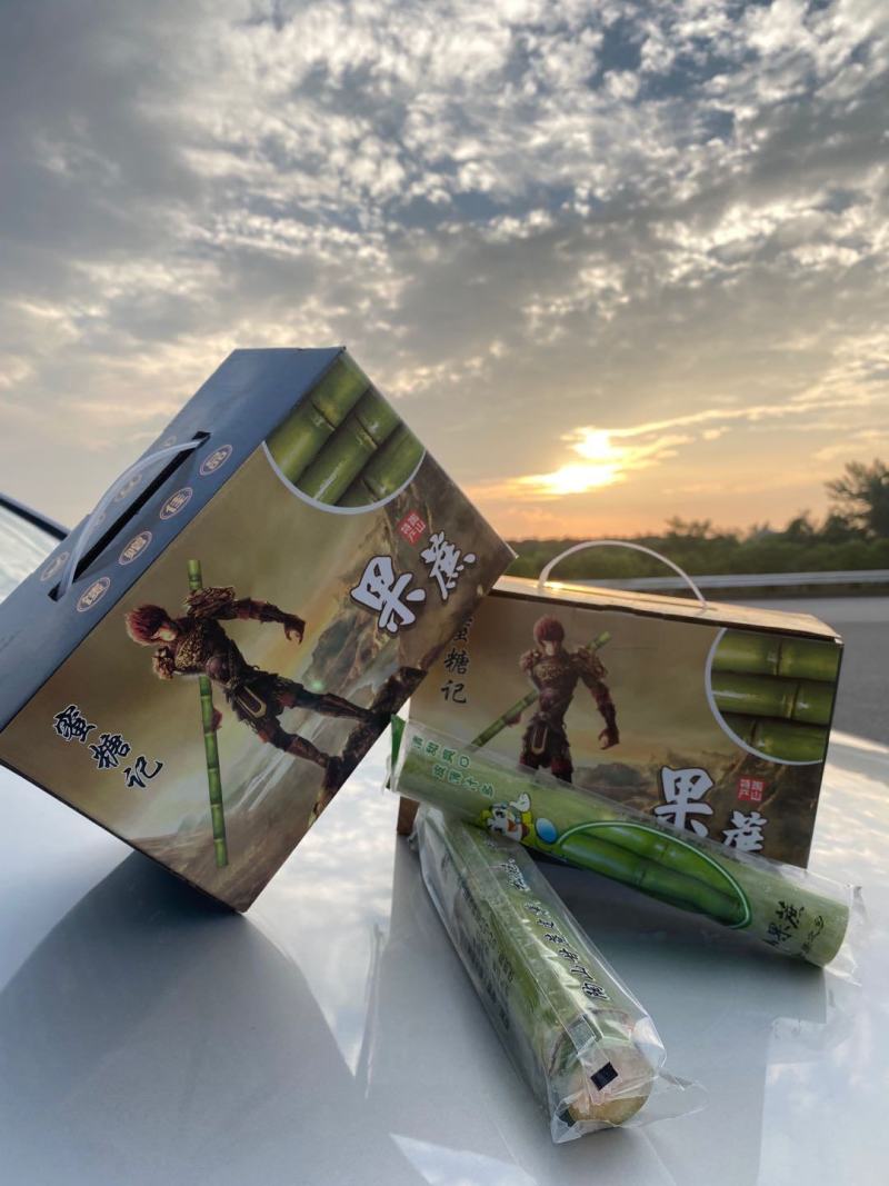 陶山果蔗，竹蔗，青皮白玉甘蔗