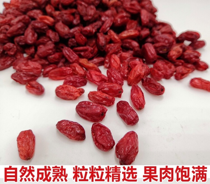 河南南阳西峡/山茱萸肉，品质优选/药厂直采基地