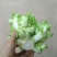 儿菜量大做工好质量越来越好