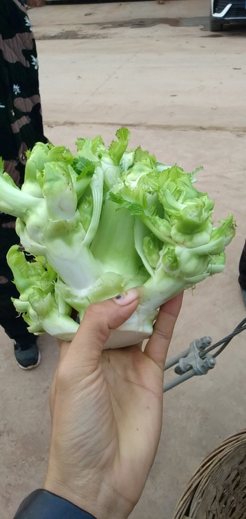 儿菜量大做工好质量越来越好