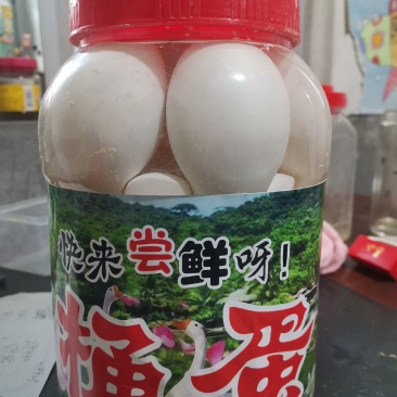 山东鹅蛋，大鹅蛋，桶装鹅蛋，基地直发。一手货源。三证齐全