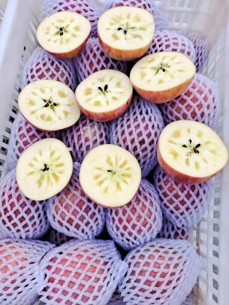 新疆阿克苏红旗坡冰糖心苹果，大量上市，脆甜多汁，