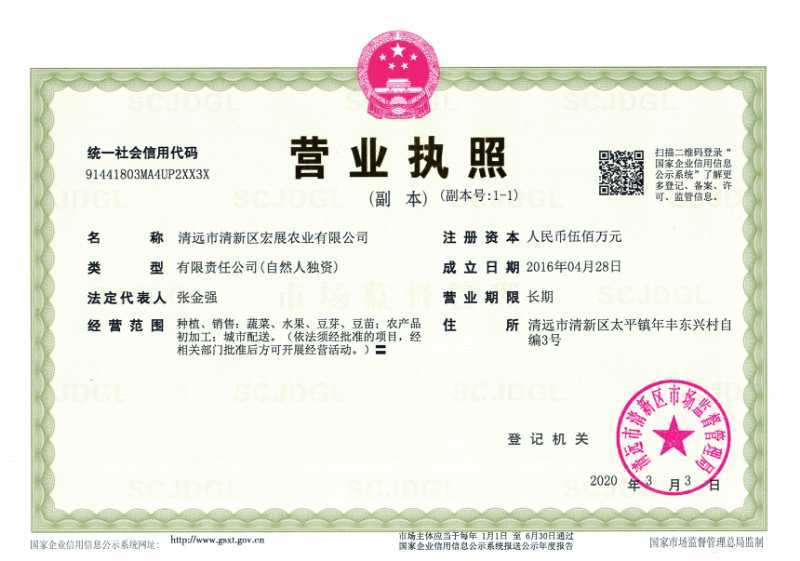 活体春豆苗(有机产品)