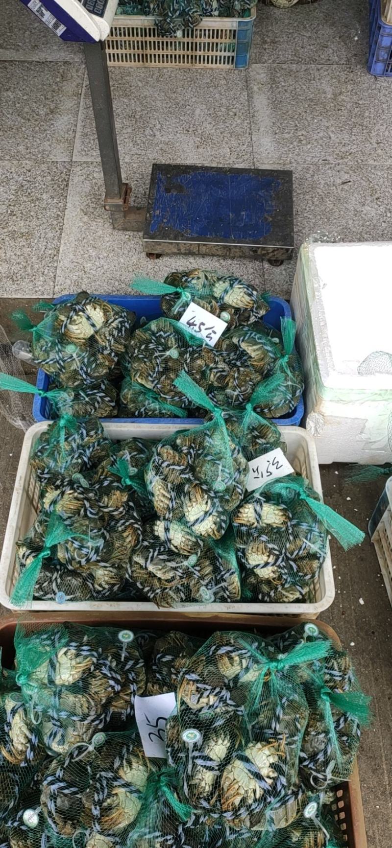 洪湖清水大闸蟹，精品本地蟹