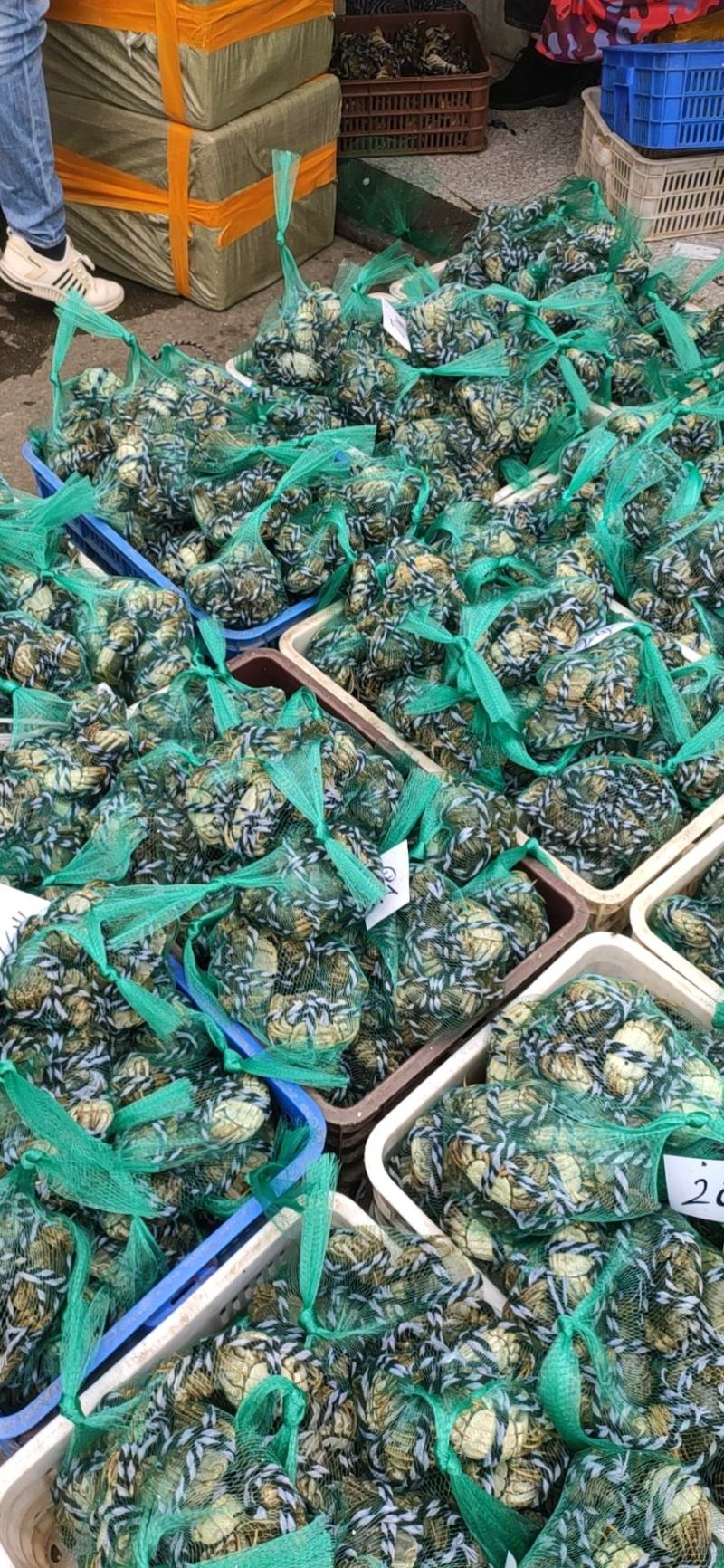 洪湖清水大闸蟹，精品本地蟹