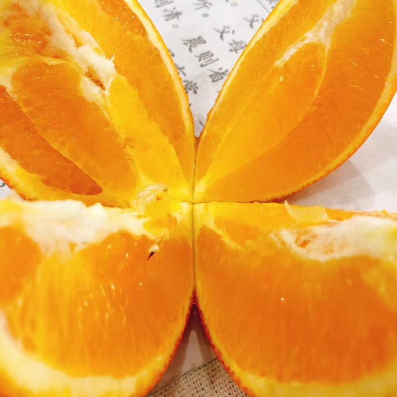 脐橙一件代发，品质好，每天发货