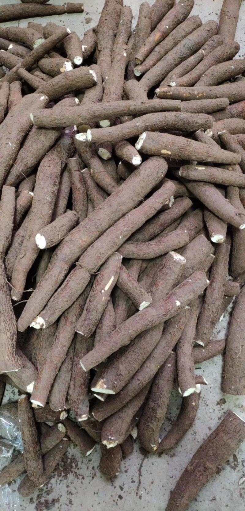 黄心黄肉糯米木薯糖水黄心木薯粉糯香木薯一件代发