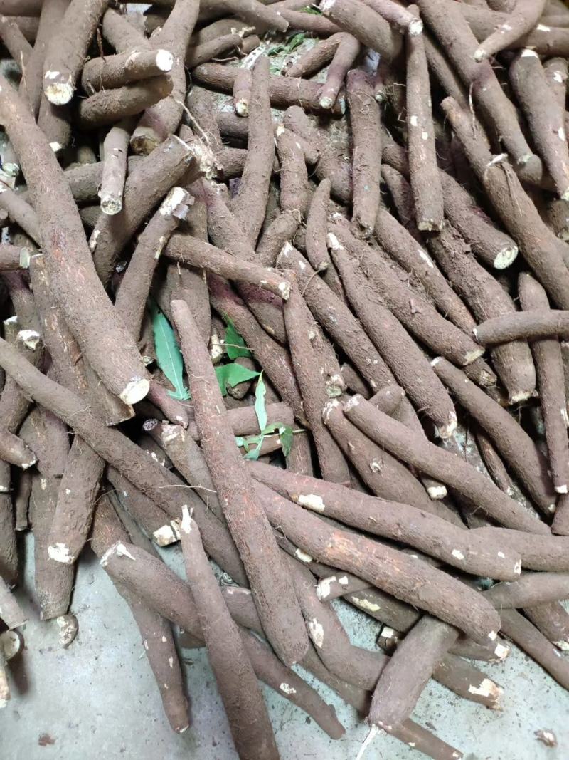 黄心黄肉糯米木薯糖水黄心木薯粉糯香木薯一件代发
