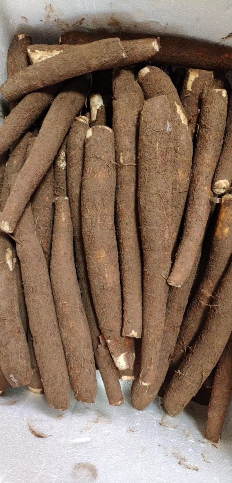 黄心黄肉糯米木薯糖水黄心木薯粉糯香木薯一件代发