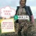 【热销】（新店开业新货上市）岷县无硫大条当归当归片批发