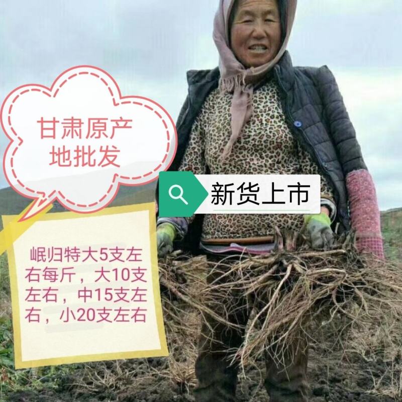 【热销】（新店开业新货上市）岷县无硫大条当归当归片批发