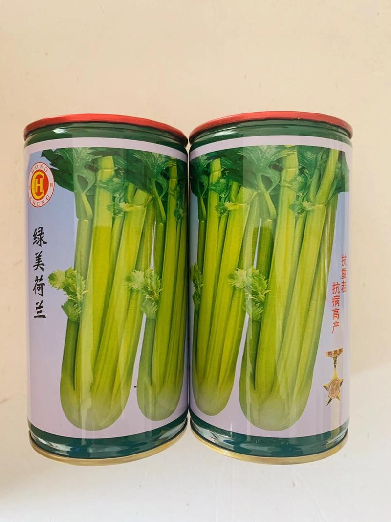 芹菜种子黄嫩西芹品种实心芹黄嫩季小香芹高产种子