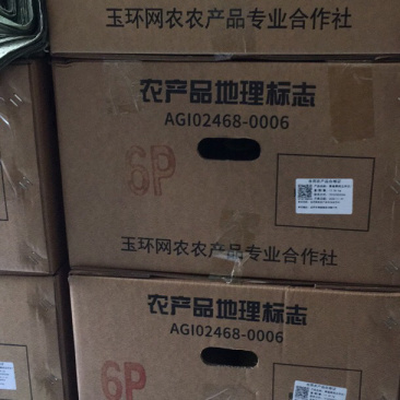 正宗玉环文旦柚果爸果妈基地直发