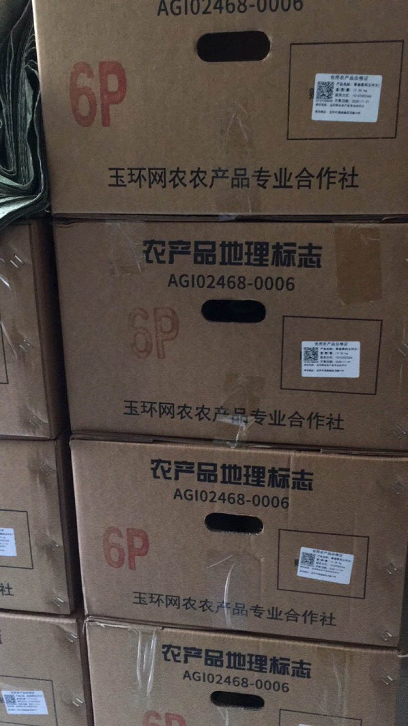 正宗玉环文旦柚果爸果妈基地直发