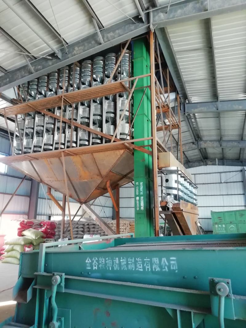 黑龙江塔选高蛋白大豆