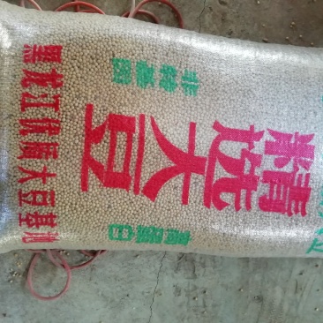 黑龙江塔选高蛋白大豆