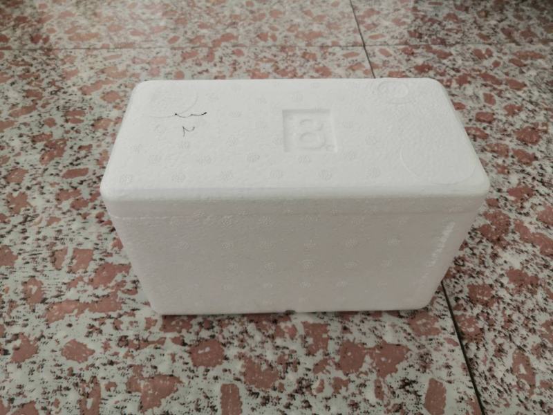 大量生产销售泡沫箱，有多种系列，一百多种规格。