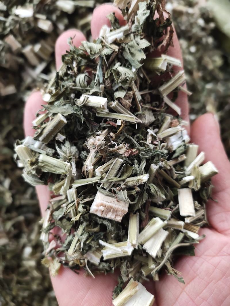 中草药益母草泡脚料新货，一手货源，大量供应