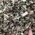 中草药益母草泡脚料新货，一手货源，大量供应