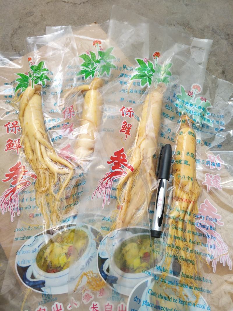 长白山保鲜参（净3-5-8-10-15-20克）可供电商