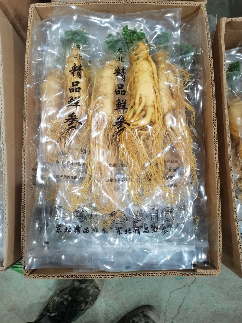 长白山保鲜参（净3-5-8-10-15-20克）可供电商