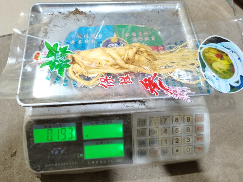 长白山保鲜参（净3-5-8-10-15-20克）可供电商