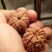 大量批发零售文玩核桃