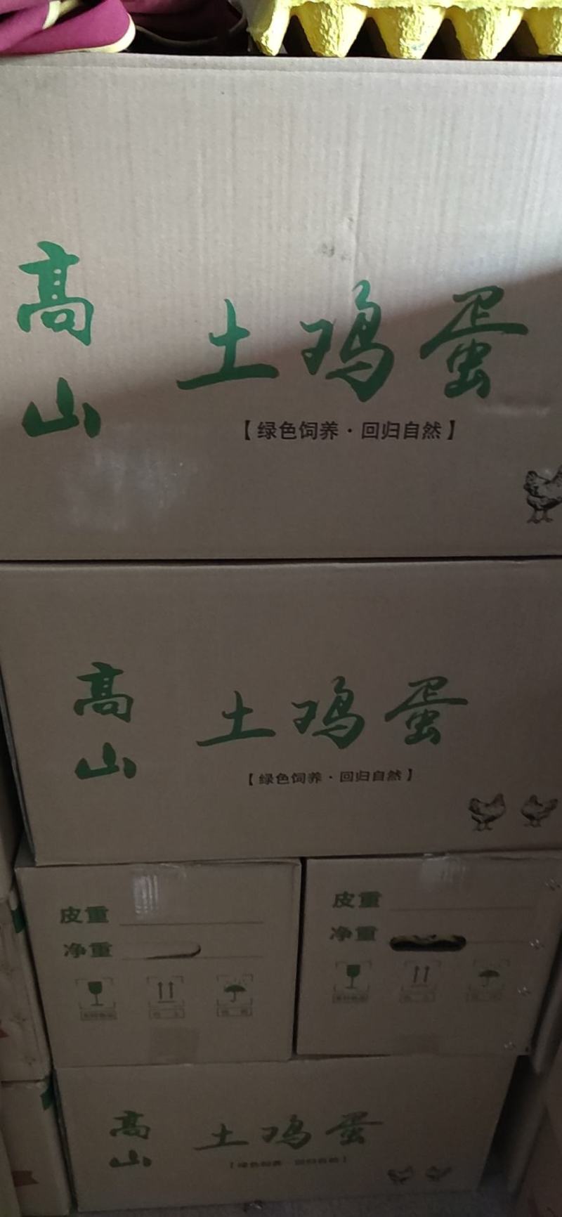 420枚绿壳土鸡蛋乌鸡蛋全国可发物流