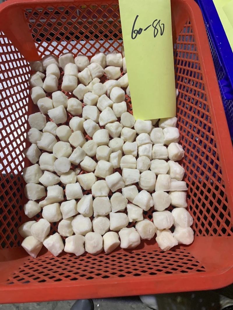 港湾贝丁现货，自己工厂加工