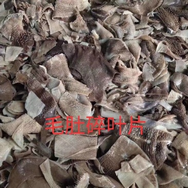 毛肚碎叶片（长期大量供应品质如图）毛肚碎叶片（长期大量供