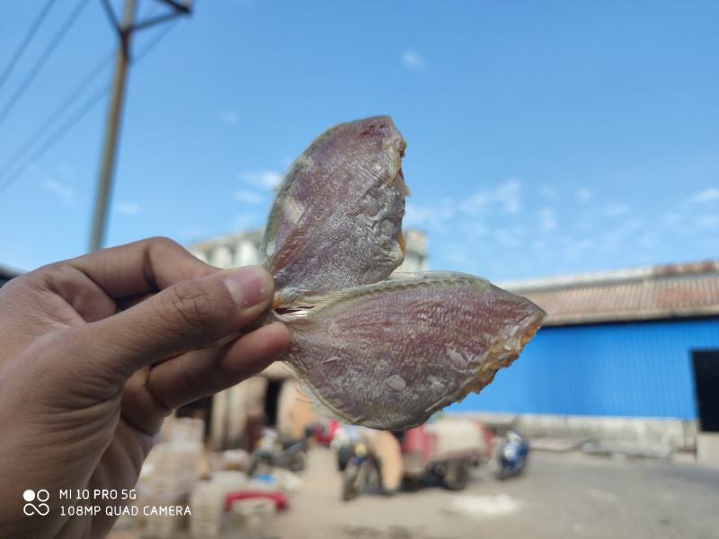 北海特产红腊鱼立仔小鱼干咸鱼足干地摊大量现货供应鱼干货