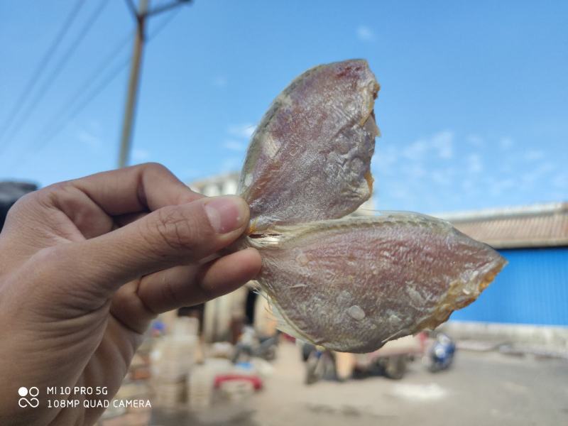 北海特产红腊鱼立仔小鱼干咸鱼足干地摊大量现货供应鱼干货