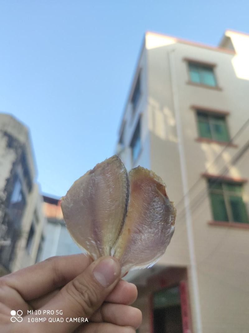 北海特产红腊鱼立仔小鱼干咸鱼足干地摊大量现货供应鱼干货