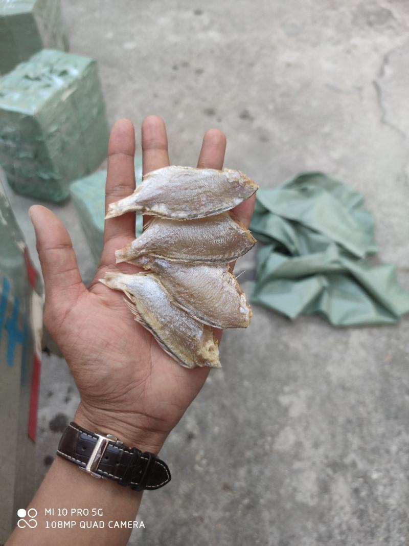 北海特产红腊鱼立仔小鱼干咸鱼足干地摊大量现货供应鱼干货