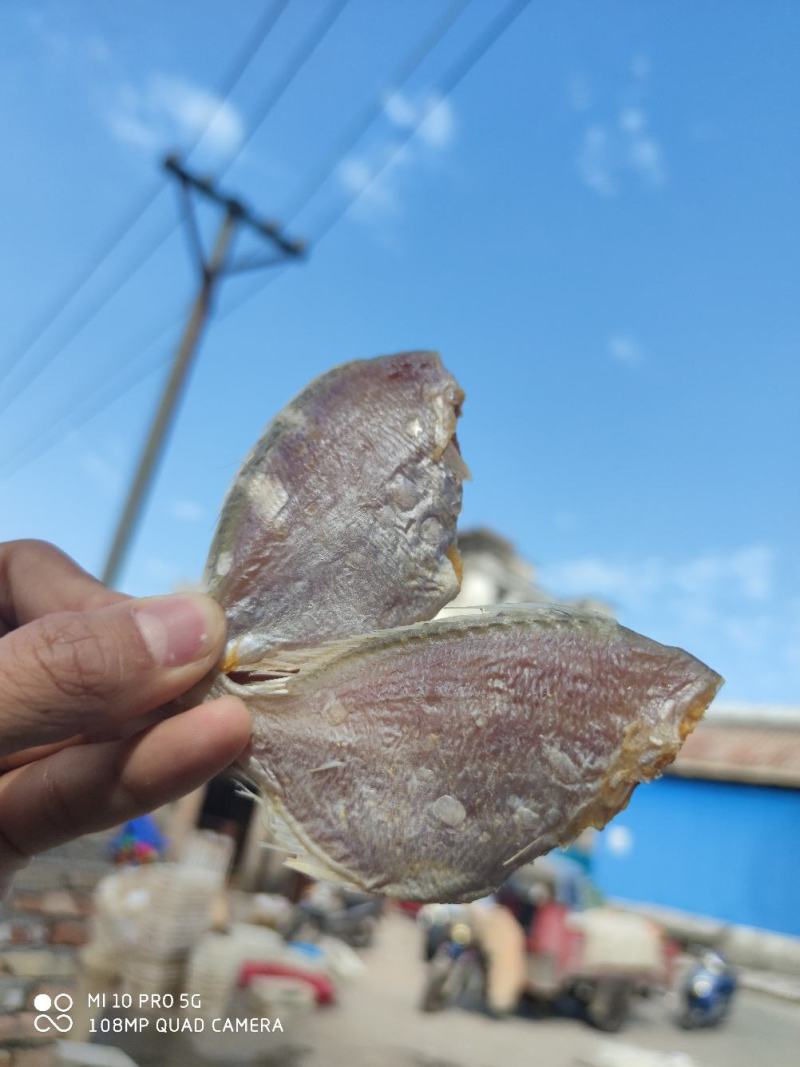 北海特产红腊鱼立仔小鱼干咸鱼足干地摊大量现货供应鱼干货