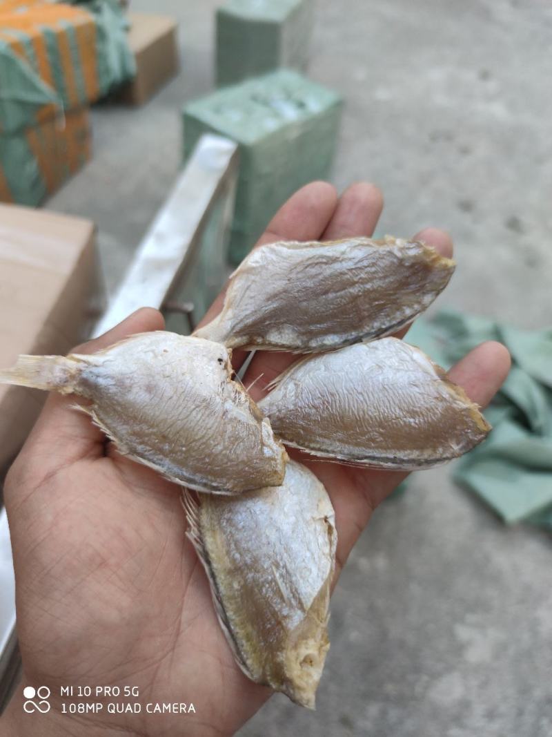 北海特产红腊鱼立仔小鱼干咸鱼足干地摊大量现货供应鱼干货