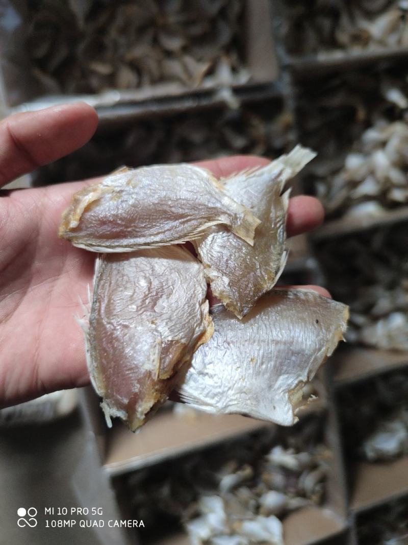北海特产红腊鱼立仔小鱼干咸鱼足干地摊大量现货供应鱼干货