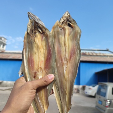 北部湾特产去头鲨鱼片鲨鱼片小鱼干小鲨鱼鱼干货淡晒鲨鱼片